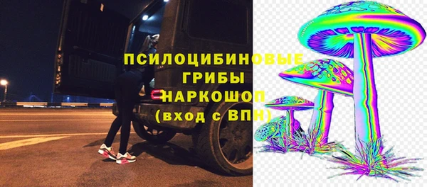 ПСИЛОЦИБИНОВЫЕ ГРИБЫ Кинешма