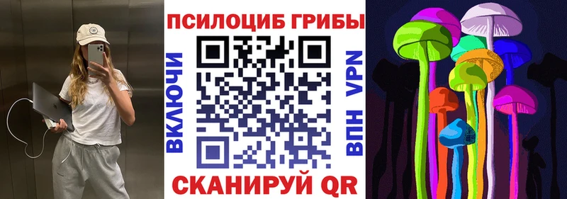 Псилоцибиновые грибы GOLDEN TEACHER Губаха