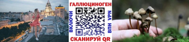 Псилоцибиновые грибы MAGIC MUSHROOMS  Купить где  Губаха 